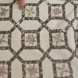 A hand rests on a quilt featuring a repeating pattern of eight-pointed star blocks within octagonal frames, using muted tones of cream, pink, green, and brown floral fabrics.