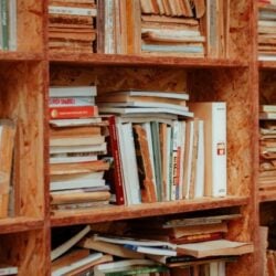 Photo by 🇻🇳🇻🇳Nguyễn Tiến Thịnh 🇻🇳🇻🇳 A cozy wooden bookshelf filled with a diverse collection of books in a home library.