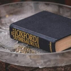 Photo by Boys in Bristol Photography Elegant hardcover thesaurus with classic design on a textured glass plate.
