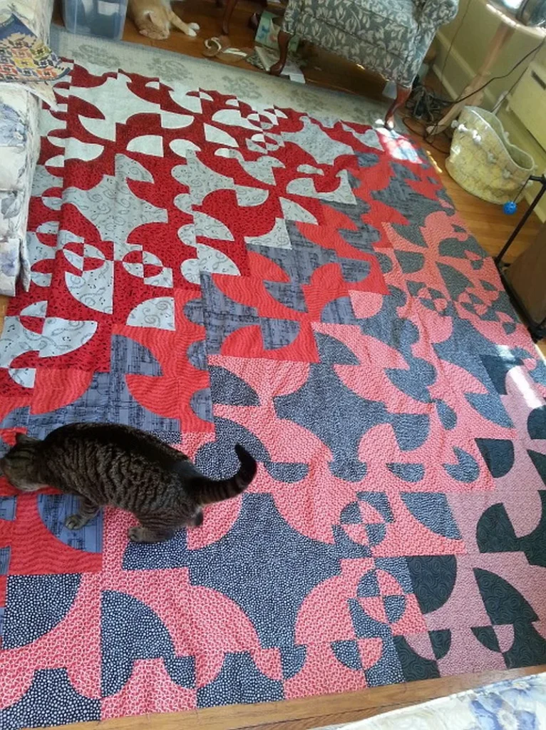 Barb-M-gets-help from cats A tabby cat stands on a colorful quilt with red, black, and pink abstract patterns. Another cat lies near a chair in the background. The room has wooden floors and cozy furnishings.