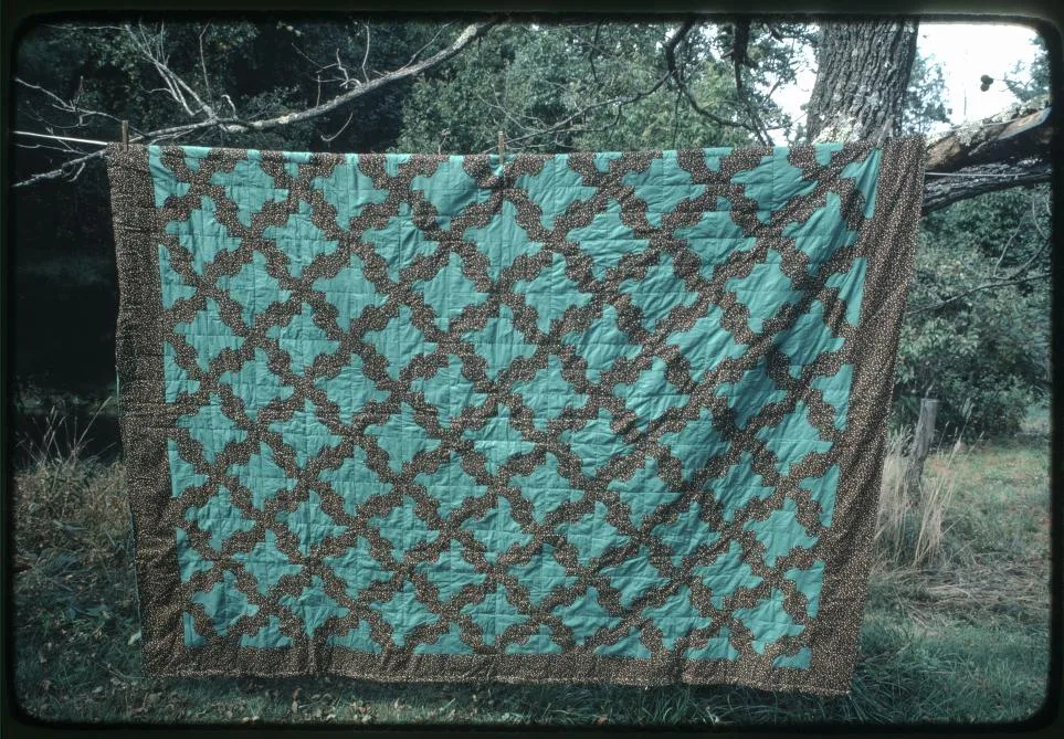 A green quilt with a brown geometric pattern and border hangs on a tree branch outdoors, with grass and trees visible in the background.