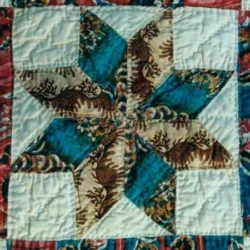 A close-up of a quilt block featuring a star pattern with teal and cream-brown fabrics, surrounded by a red and blue floral border. Perfect for those interested in dating vintage quilt blocks, the fabric is textured with visible stitching that highlights its age and craftsmanship.